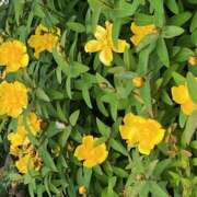 ヒメ日記 2025/07/03 09:38 投稿 鏡 セクシーキャット 神田店