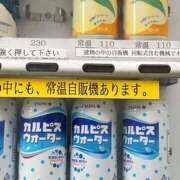 ヒメ日記 2025/07/03 17:04 投稿 鏡 セクシーキャット 神田店