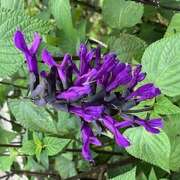 ヒメ日記 2025/07/07 09:20 投稿 鏡 セクシーキャット 神田店