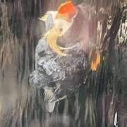 ヒメ日記 2025/08/04 09:51 投稿 鏡 セクシーキャット 神田店