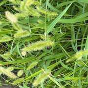 ヒメ日記 2025/08/24 11:59 投稿 鏡 セクシーキャット 神田店