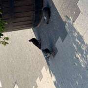 ヒメ日記 2025/08/28 09:51 投稿 鏡 セクシーキャット 神田店