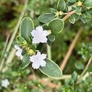 ヒメ日記 2025/08/31 12:28 投稿 鏡 セクシーキャット 神田店