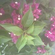 ヒメ日記 2025/09/04 09:22 投稿 鏡 セクシーキャット 神田店