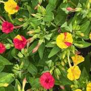 ヒメ日記 2025/09/10 08:56 投稿 鏡 セクシーキャット 神田店