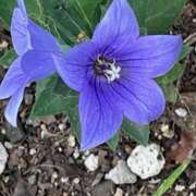 ヒメ日記 2025/09/14 09:57 投稿 鏡 セクシーキャット 神田店