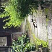 ヒメ日記 2025/09/29 12:52 投稿 鏡 セクシーキャット 神田店