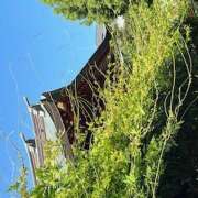 ヒメ日記 2025/10/01 09:20 投稿 鏡 セクシーキャット 神田店