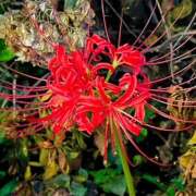 ヒメ日記 2025/10/08 10:19 投稿 鏡 セクシーキャット 神田店