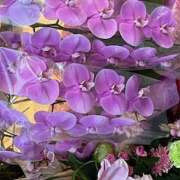 ヒメ日記 2025/10/09 17:37 投稿 鏡 セクシーキャット 神田店