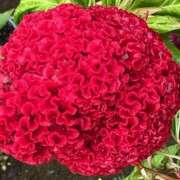 ヒメ日記 2025/10/13 10:09 投稿 鏡 セクシーキャット 神田店