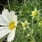 ヒメ日記 2025/11/05 16:40 投稿 鏡 セクシーキャット 神田店