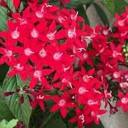 ヒメ日記 2025/11/09 17:55 投稿 鏡 セクシーキャット 神田店