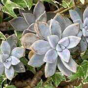 ヒメ日記 2025/11/23 09:17 投稿 鏡 セクシーキャット 神田店