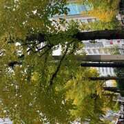 ヒメ日記 2025/12/01 09:41 投稿 鏡 セクシーキャット 神田店