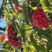 ヒメ日記 2025/12/07 09:13 投稿 鏡 セクシーキャット 神田店