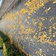 鏡 退勤 セクシーキャット 神田店