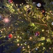 ヒメ日記 2025/12/25 17:03 投稿 鏡 セクシーキャット 神田店