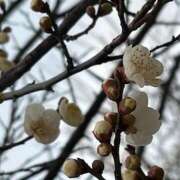 ヒメ日記 2026/02/08 09:24 投稿 鏡 セクシーキャット 神田店