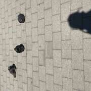 ヒメ日記 2026/02/22 09:17 投稿 鏡 セクシーキャット 神田店