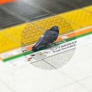 ヒメ日記 2026/02/22 16:41 投稿 鏡 セクシーキャット 神田店