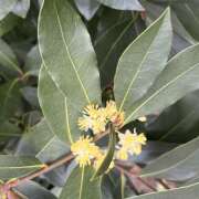 ヒメ日記 2026/02/23 10:14 投稿 鏡 セクシーキャット 神田店