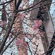 ヒメ日記 2026/02/25 09:24 投稿 鏡 セクシーキャット 神田店