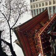 ヒメ日記 2026/03/25 16:49 投稿 鏡 セクシーキャット 神田店