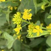 ヒメ日記 2026/04/09 09:28 投稿 鏡 セクシーキャット 神田店