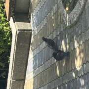 ヒメ日記 2026/08/05 10:01 投稿 鏡 セクシーキャット 神田店