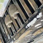 ヒメ日記 2026/08/19 10:47 投稿 鏡 セクシーキャット 神田店