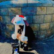 ヒメ日記 2024/12/13 20:54 投稿 ハイジ 川崎ソープ　クリスタル京都南町