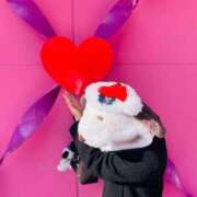 ヒメ日記 2025/02/16 18:36 投稿 ハイジ 川崎ソープ　クリスタル京都南町