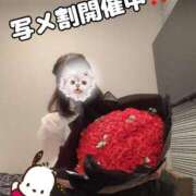 ヒメ日記 2025/03/13 07:41 投稿 ハイジ 川崎ソープ　クリスタル京都南町