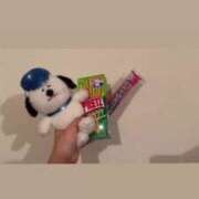 ヒメ日記 2025/04/04 17:31 投稿 ハイジ 川崎ソープ　クリスタル京都南町