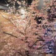 ヒメ日記 2025/04/06 09:36 投稿 ハイジ 川崎ソープ　クリスタル京都南町