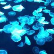 ヒメ日記 2025/04/30 22:46 投稿 ハイジ 川崎ソープ　クリスタル京都南町