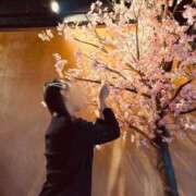 ヒメ日記 2025/07/27 23:17 投稿 ハイジ 川崎ソープ　クリスタル京都南町