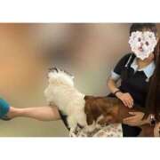 ヒメ日記 2025/09/09 13:18 投稿 ハイジ 川崎ソープ　クリスタル京都南町