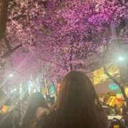 ヒメ日記 2025/04/05 11:17 投稿 みひな ハピネス東京