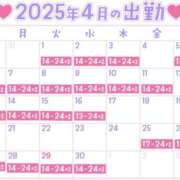 ヒメ日記 2025/04/24 17:17 投稿 みひな ハピネス東京