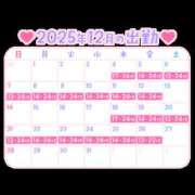 ヒメ日記 2025/11/21 12:47 投稿 みひな ハピネス東京