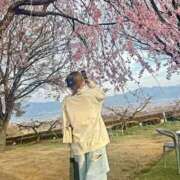 ヒメ日記 2026/03/29 14:17 投稿 みひな ハピネス東京