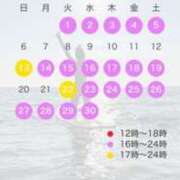 ヒメ日記 2026/08/27 13:47 投稿 みひな ハピネス東京