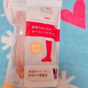 ヒメ日記 2024/12/16 08:20 投稿 ヒメ スイカ