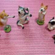 ヒメ日記 2025/04/14 10:11 投稿 ヒメ スイカ