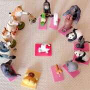 ヒメ日記 2025/07/25 20:10 投稿 ヒメ スイカ