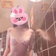 ヒメ日記 2025/08/29 08:19 投稿 ヒメ スイカ