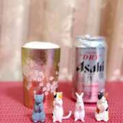 ヒメ日記 2025/12/04 20:59 投稿 ヒメ スイカ