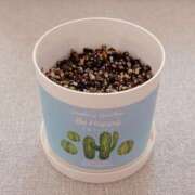 ヒメ日記 2025/12/05 08:17 投稿 ヒメ スイカ